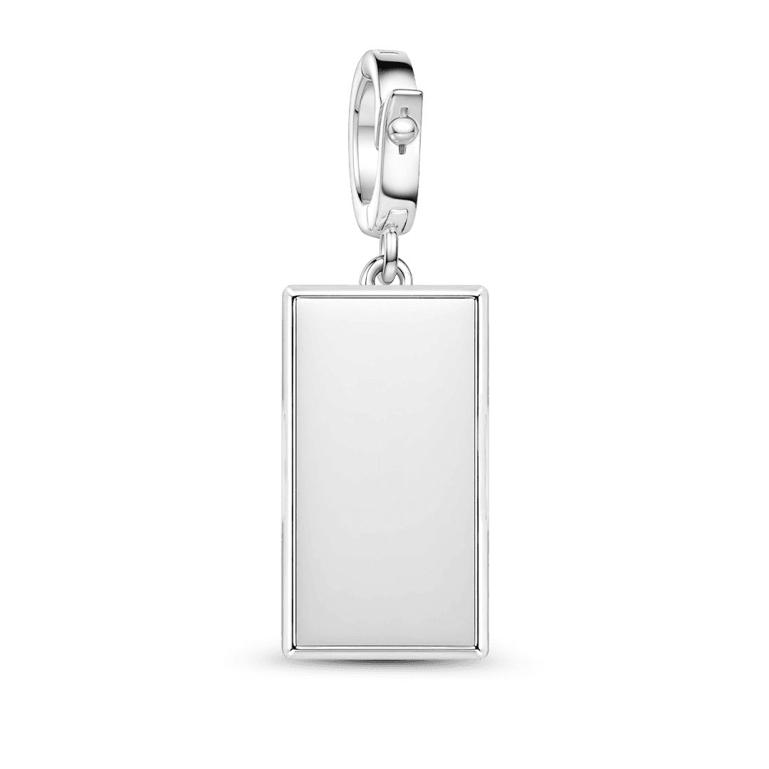 Gnoce Boston Charm Platinum-plated Silver Blend_5
