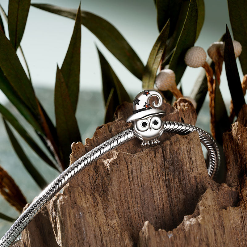 Gnoce Owl with Witch Hat Gift Charm Platinum-plated Silver Blend_3