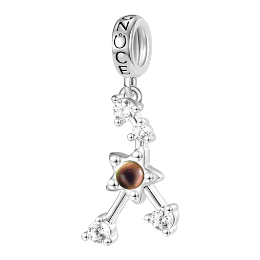 Gnoce Zodiac Sign Mood Pendant Dangle Charm_1