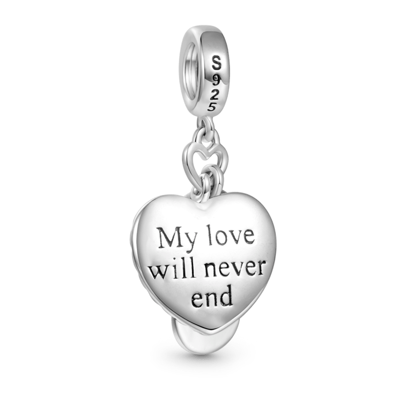 Gnoce Sparkling Infinite Love Heart Charm Platinum-plated Silver Blend_3