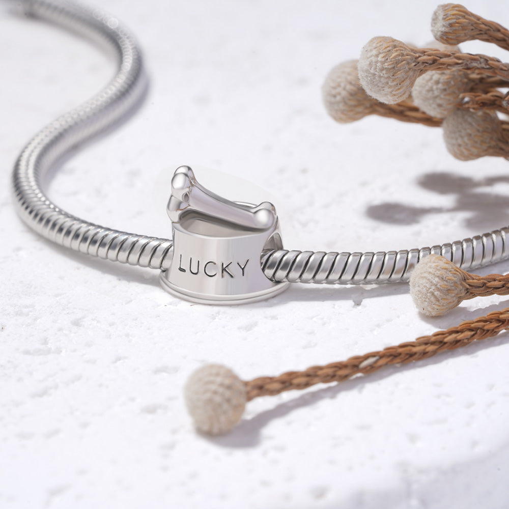 Gnoce Pet Dog Bowl Engravable Name Charm Platinum-plated Silver Blend_4