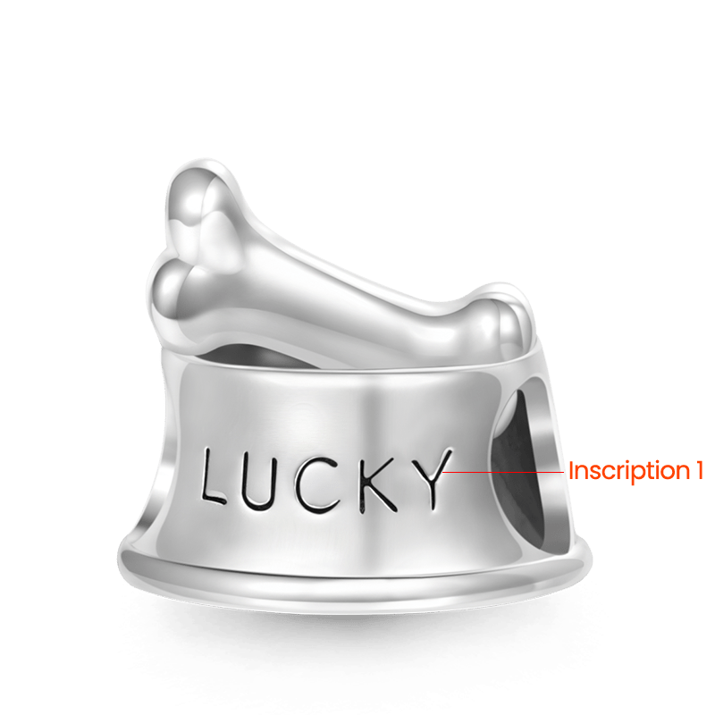 Gnoce Pet Dog Bowl Engravable Name Charm Platinum-plated Silver Blend_3