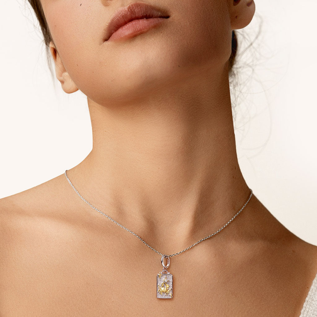 Gnoce Constellation Cancer Pendant Dangle Charm_4