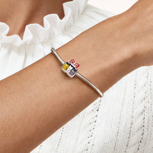 Gnoce Cute Cats Gift Box Charm_2