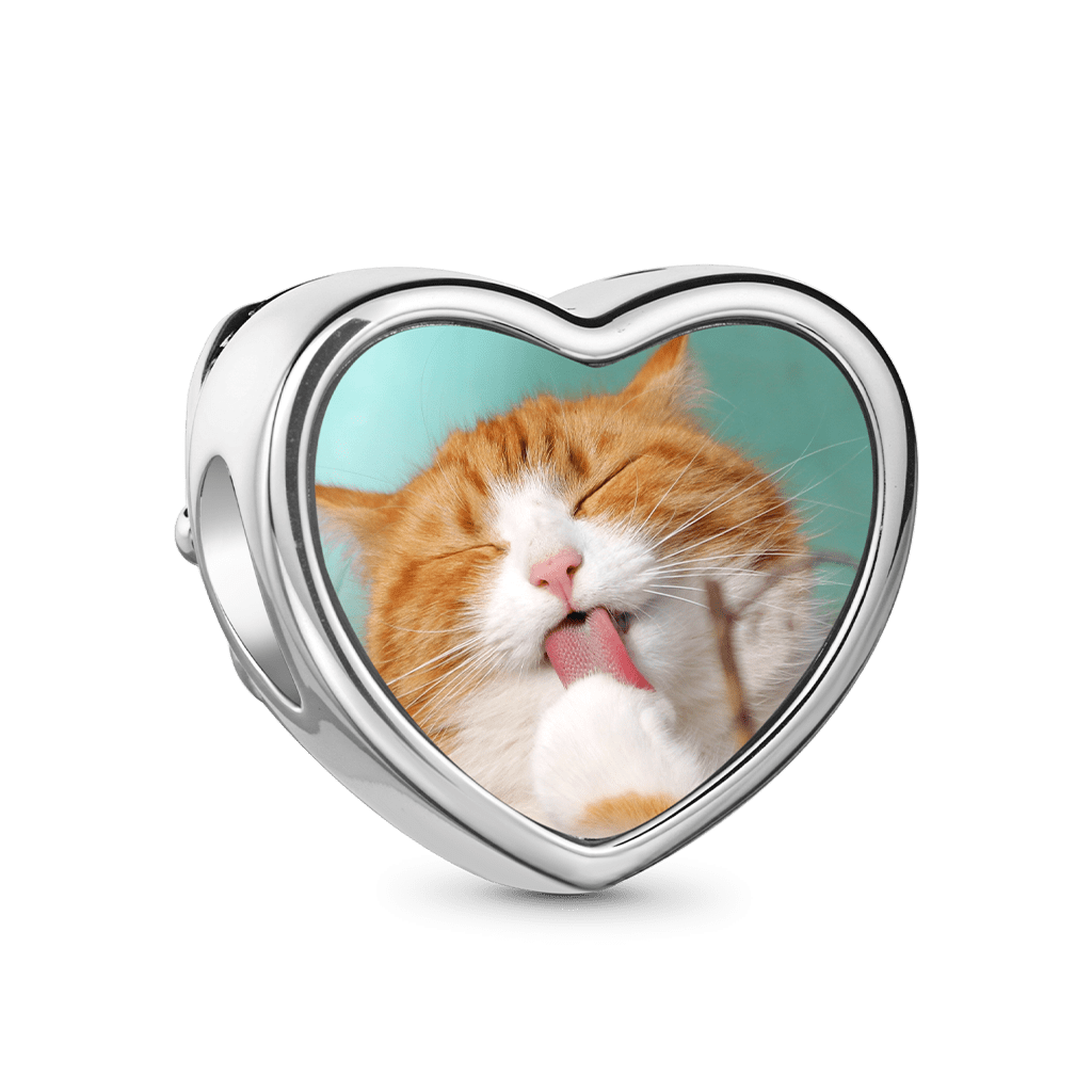 Gnoce Cats Photo Charm Platinum-plated Silver Blend_2