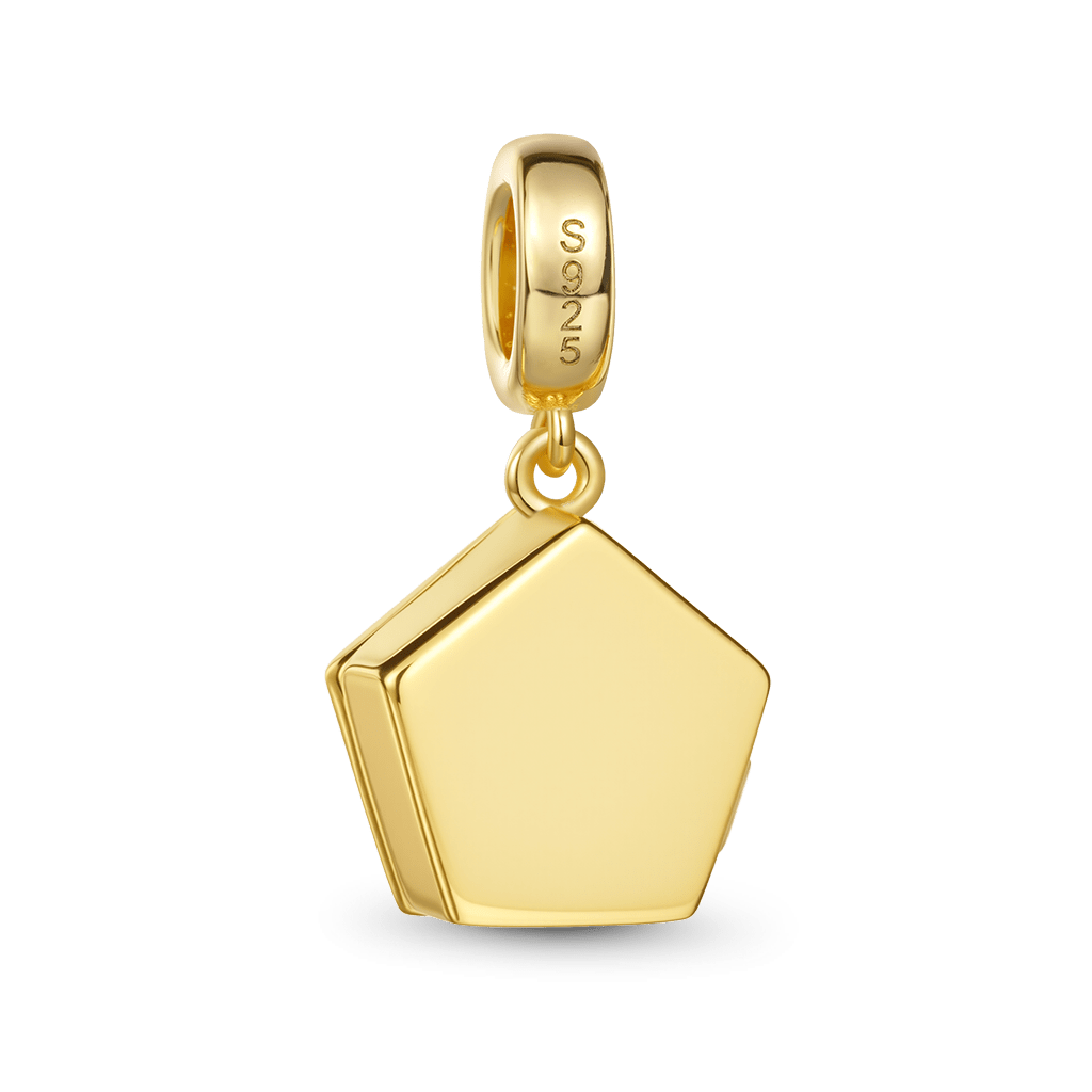 Gnoce Harry Potter Chocolate Frog Pendant Dangle Charm_6