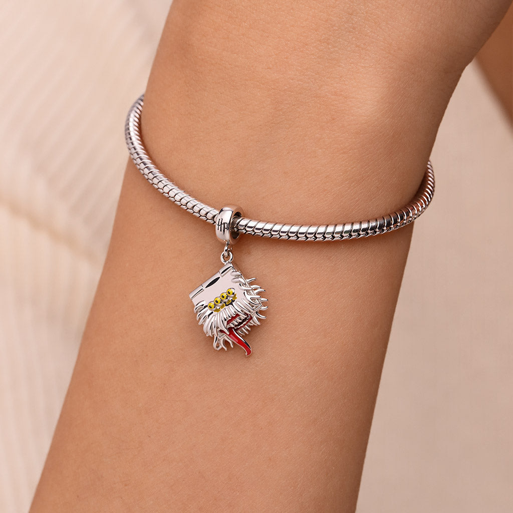 Gnoce Harry Potter Monster Book Pendant Dangle Charm_3