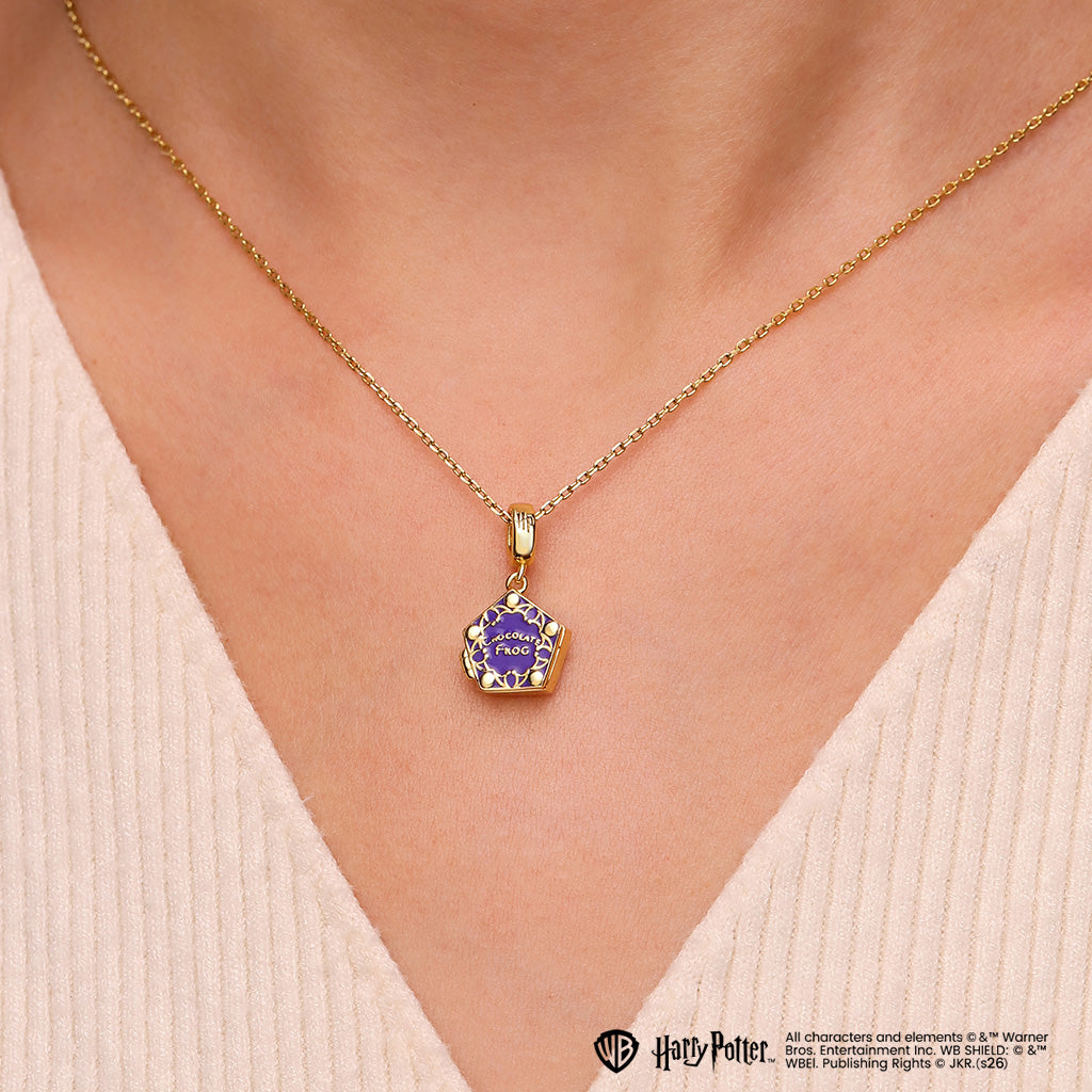 Gnoce Harry Potter Chocolate Frog Pendant Dangle Charm_3
