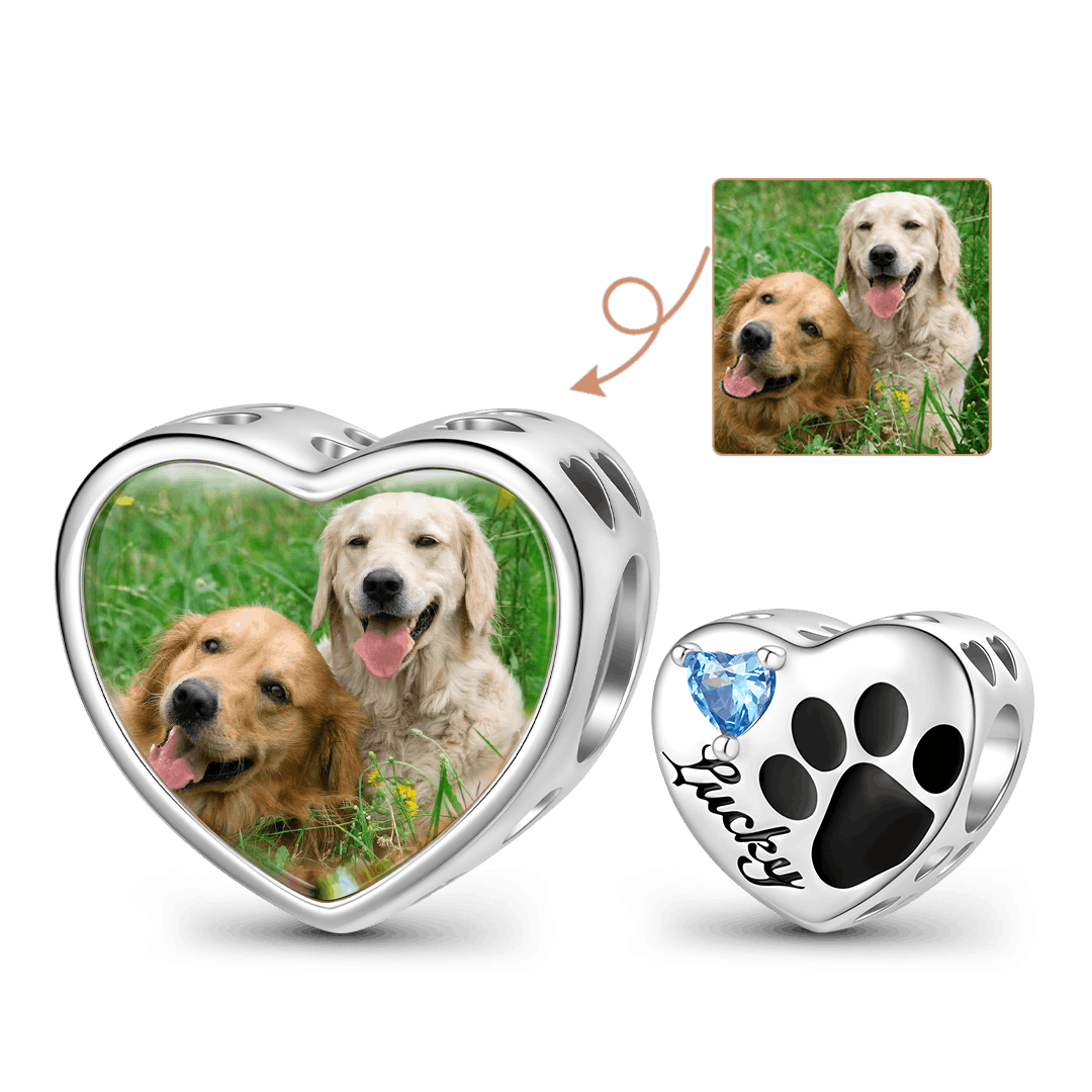 Gnoce Loving Pet Paw Photo Charm Platinum-plated Silver Blend_2