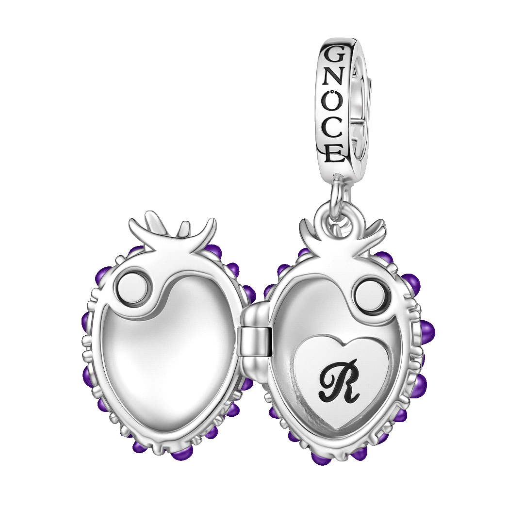 Gnoce Initial Personalized Blackberry Locket Clasp Dangle Charm Platinum‑plated Silver Blend_1