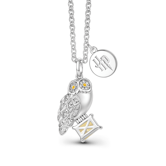 Gnoce Harry Potter Hedwig Owl with Gem Envelope Necklace_1