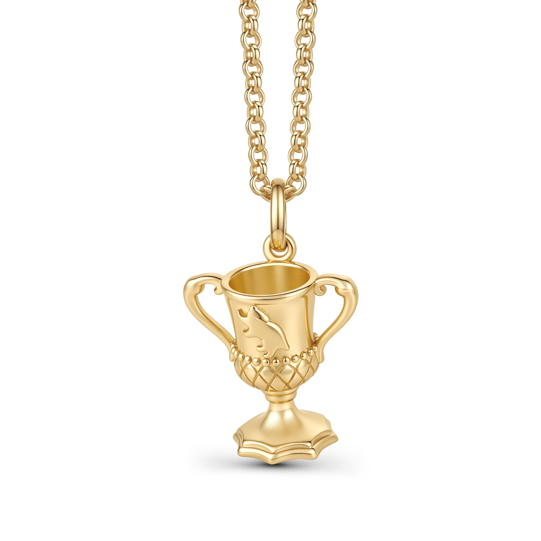 Gnoce Harry Potter Hufflepuff House Cup Pendant Necklace_1