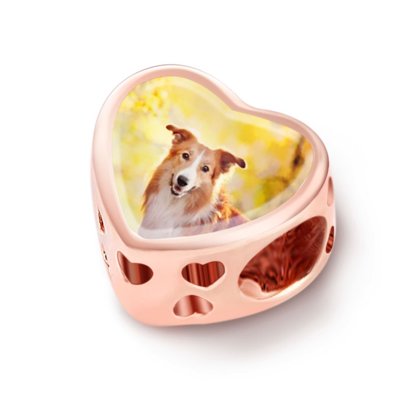 Gnoce Pet Paw Print Photo Charm_2